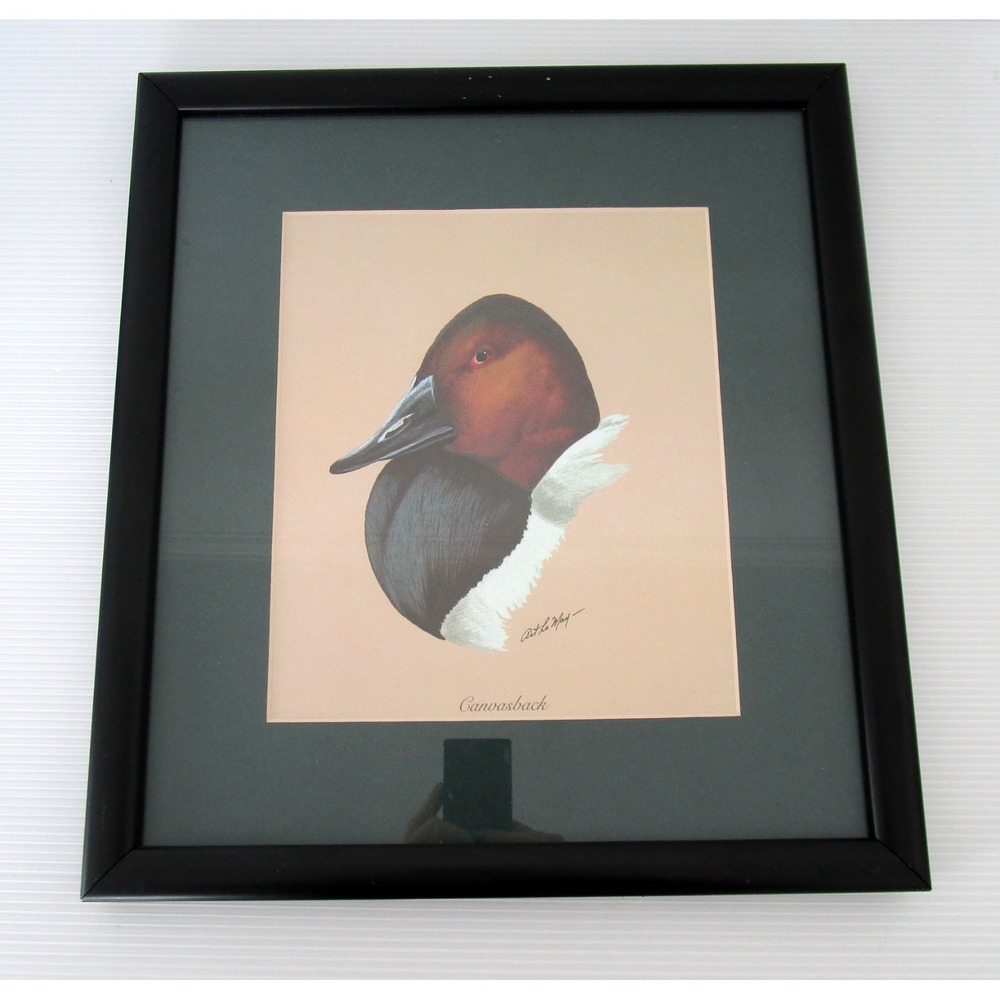 Art Lamay Canvasback Duck Watercolor Print Signed Black Frame Green Mat 13x14.5"